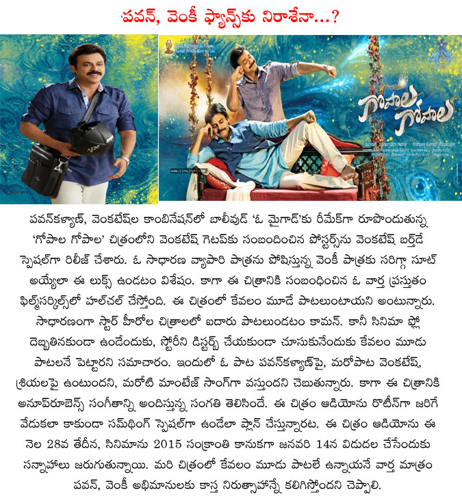 venkatesh,pawan kalyan,gopala gopala audio launch,no audio launch to gopala gopala,pawan and venky fans disappointed,gopala gopala movie updates  venkatesh, pawan kalyan, gopala gopala audio launch, no audio launch to gopala gopala, pawan and venky fans disappointed, gopala gopala movie updates